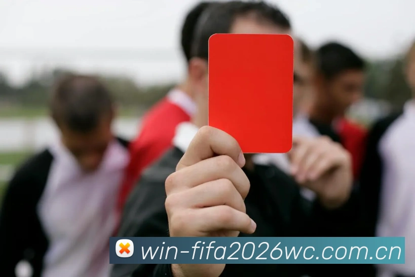 FIFA官方数据授权认证